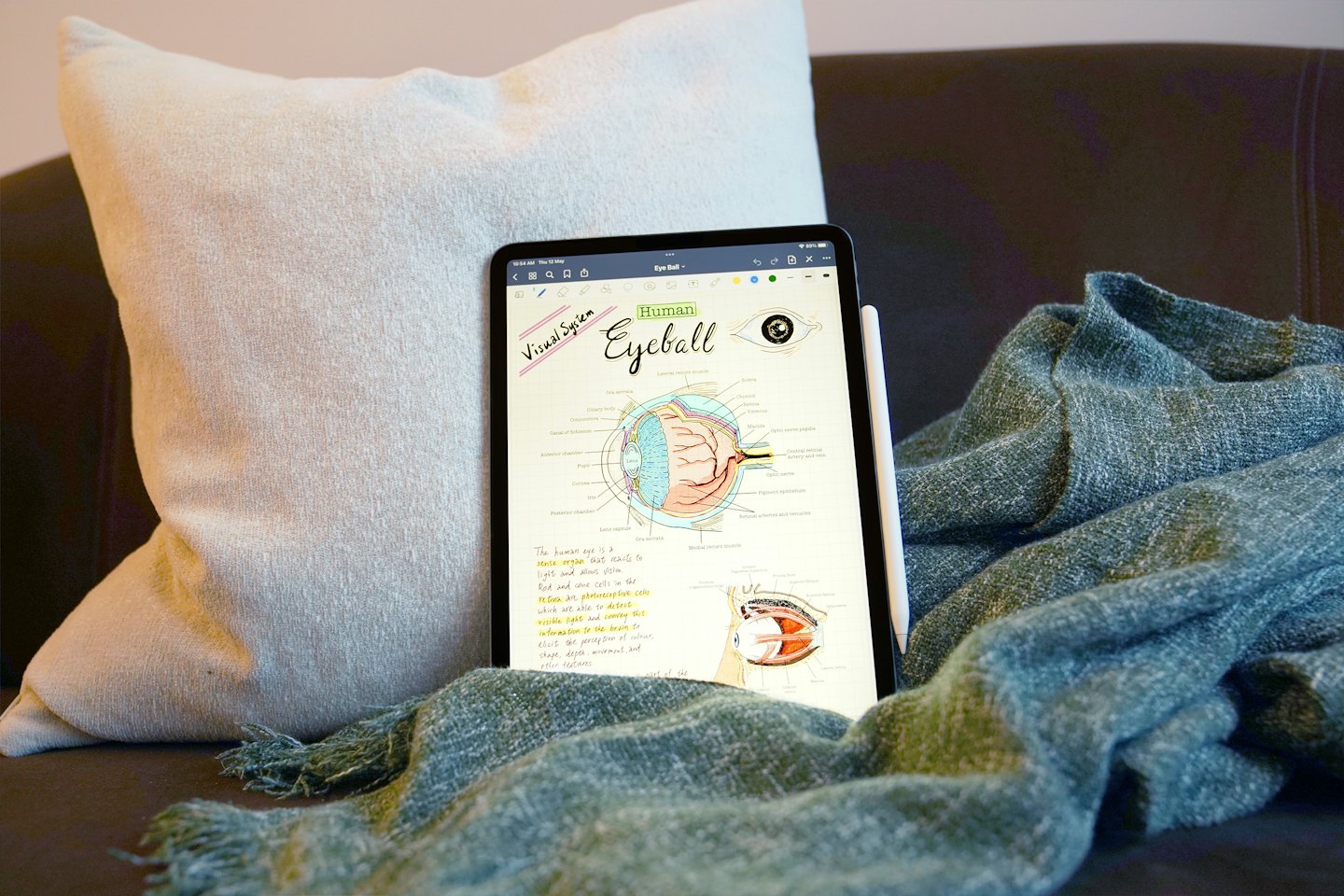 Une tablette affiche un schéma détaillé de l'anatomie de l'œil humain avec un stylet.