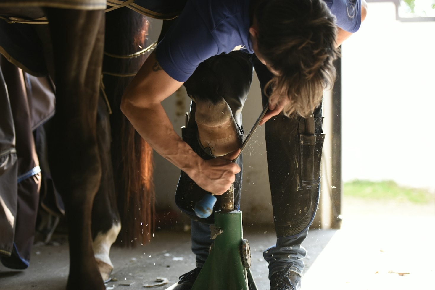 Comprendre le parage physiologique chez le cheval de loisir